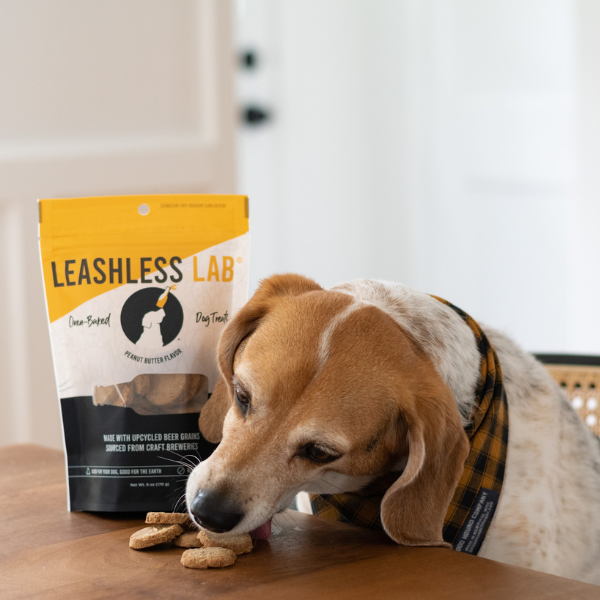 Beer grain dog shop treats