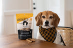Upcycled Beer Grain Dog Treats - Pumpkin Berry 3 Pack