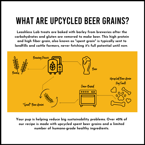 Upcycled Beer Grain Dog Treats - Mixed Recipe 3 Pack